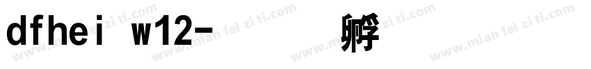 dfhei w12字体转换